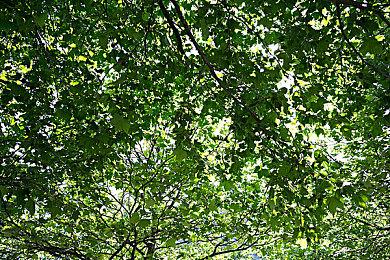 应对全球公测热度 《三角洲行动》新增5个地区服务器